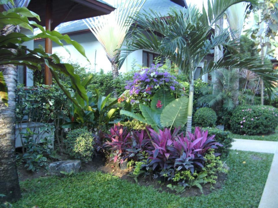 Im Garten Banana Fan Sea Resort