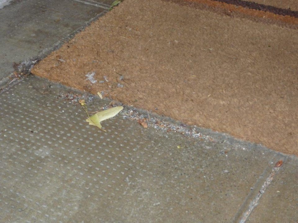 Verschmutzt Ferienwohnungen Residence Jungfrau