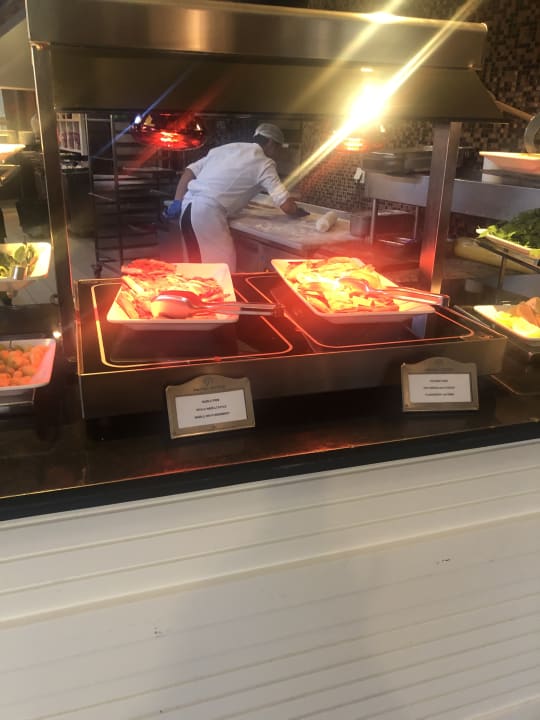Gastro Paloma Pasha