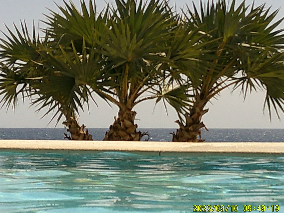 Pool Makadi Spa - Adults only