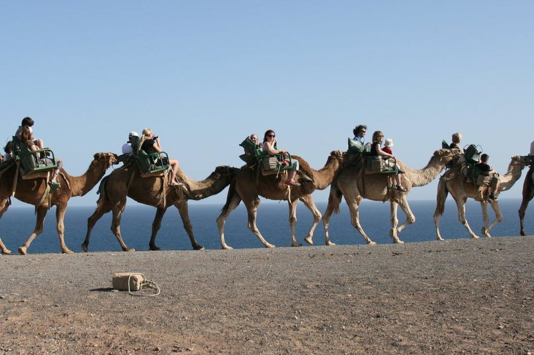 Niezapomniane wrażenia SBH Costa Calma Beach Resort