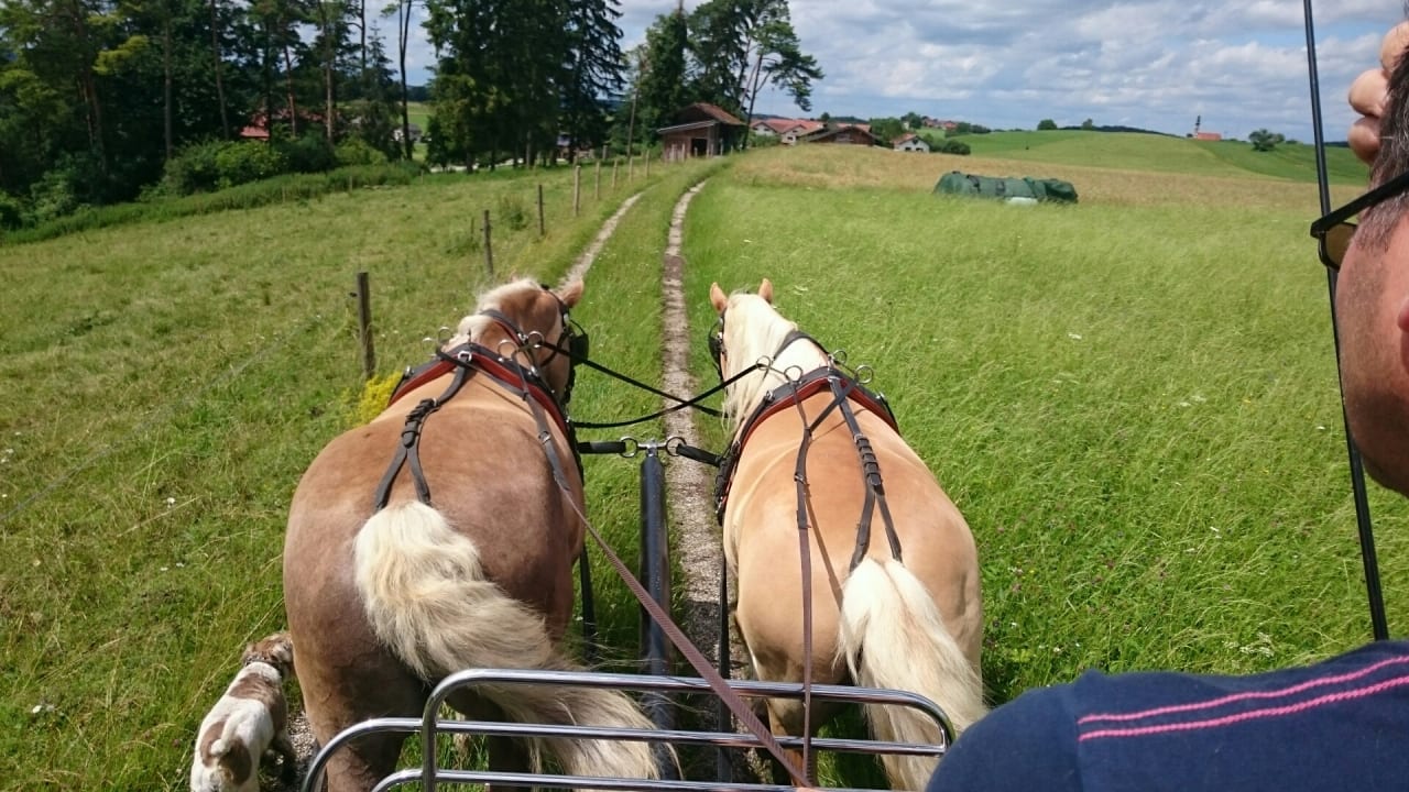 Sport & Freizeit Höglerhof  Ferienwohnung Westenburger