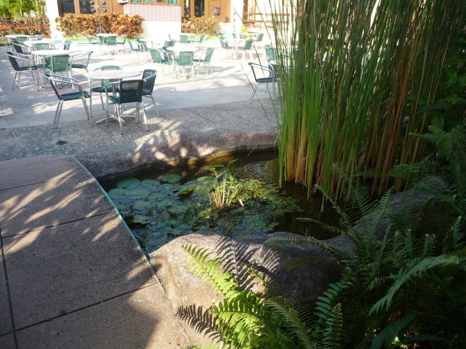 Kleiner Bach Hotel Versalles