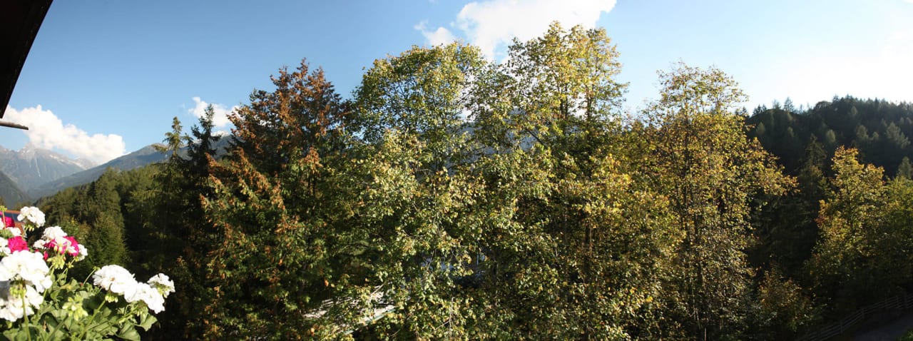 Ausblick in den Wald/Berge Apart Tuxertal