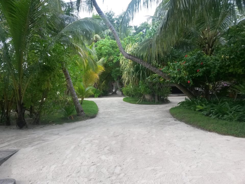 Garten  Kuramathi Maldives