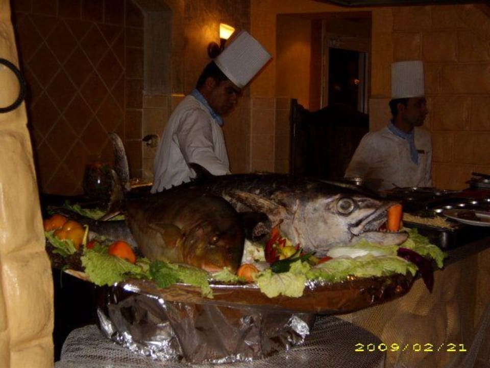 Leckeren Fish Pickalbatros Alf Leila Wa Leila Resort - Neverland Hurghada