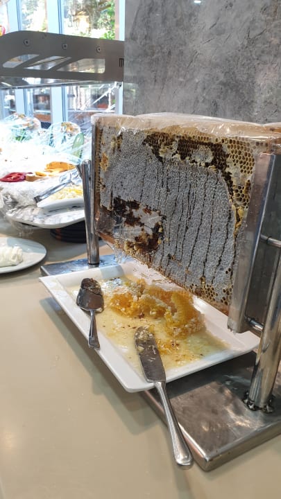 Gastro Saturn Palace Resort Hotel