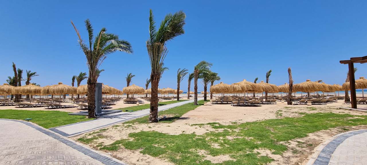 Strand JAZ Elite Asteria