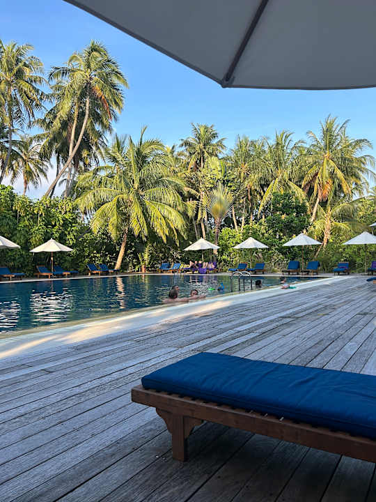 Pool Vilamendhoo Island Resort & Spa