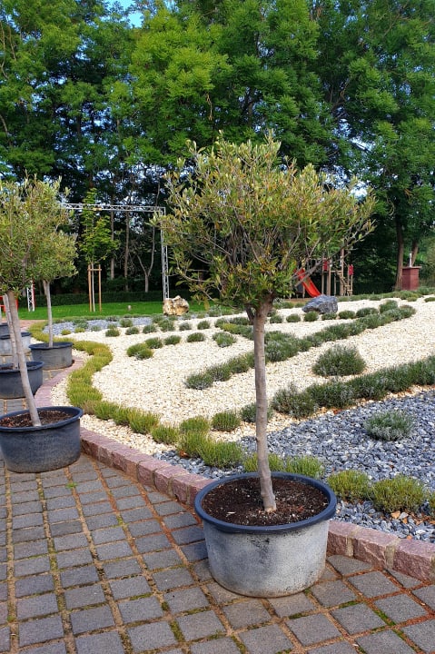 Gartenanlage Hotel Acamed Resort