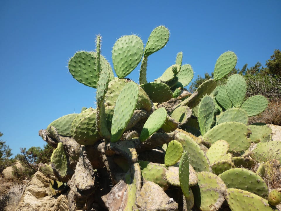 Strand Tirreno Resort