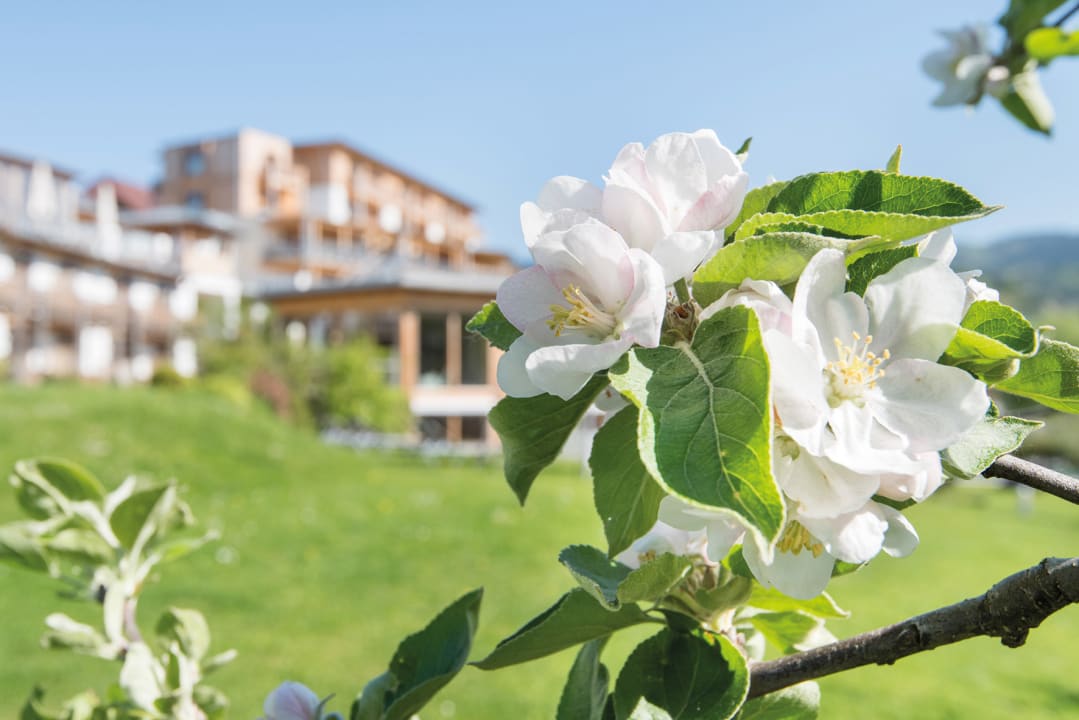 Außenansicht RETTER Bio-Natur-Resort