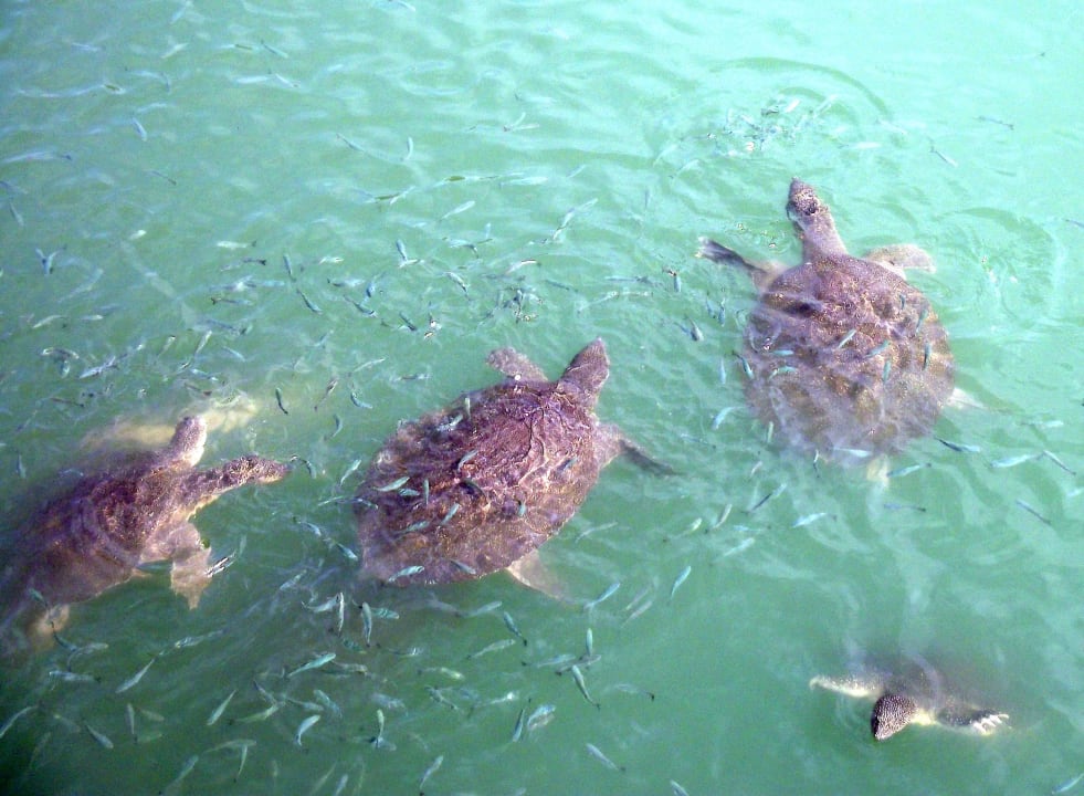 Sonstiges Side Sun Hotel