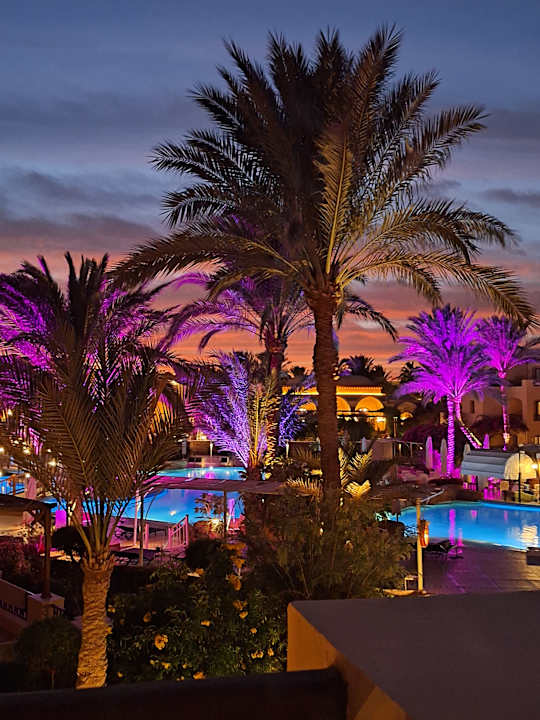 Gartenanlage Steigenberger Coraya Beach - Adults only