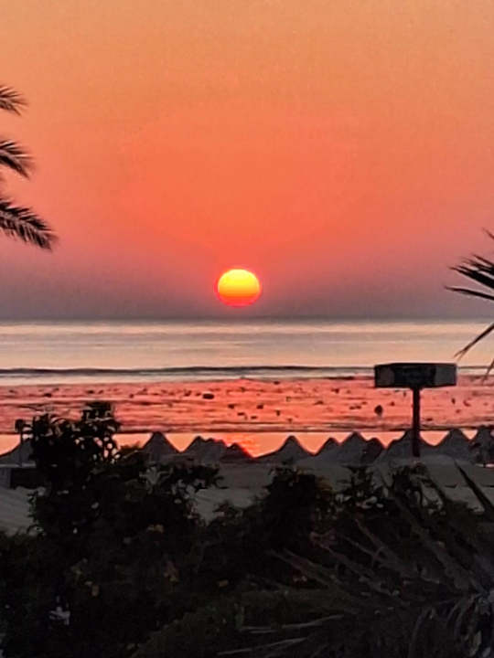 Strand Utopia Beach Club