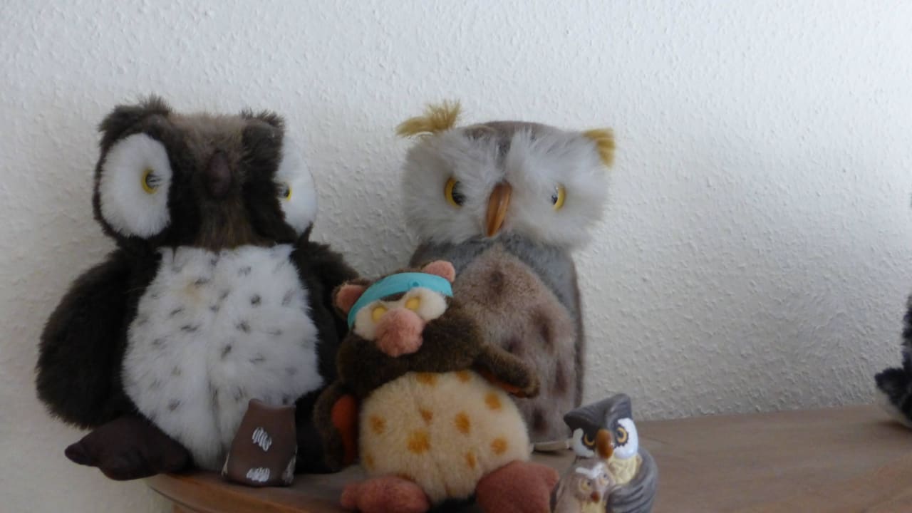 Eulen, Eulen, Eulen Dünenhotel Eulenhof