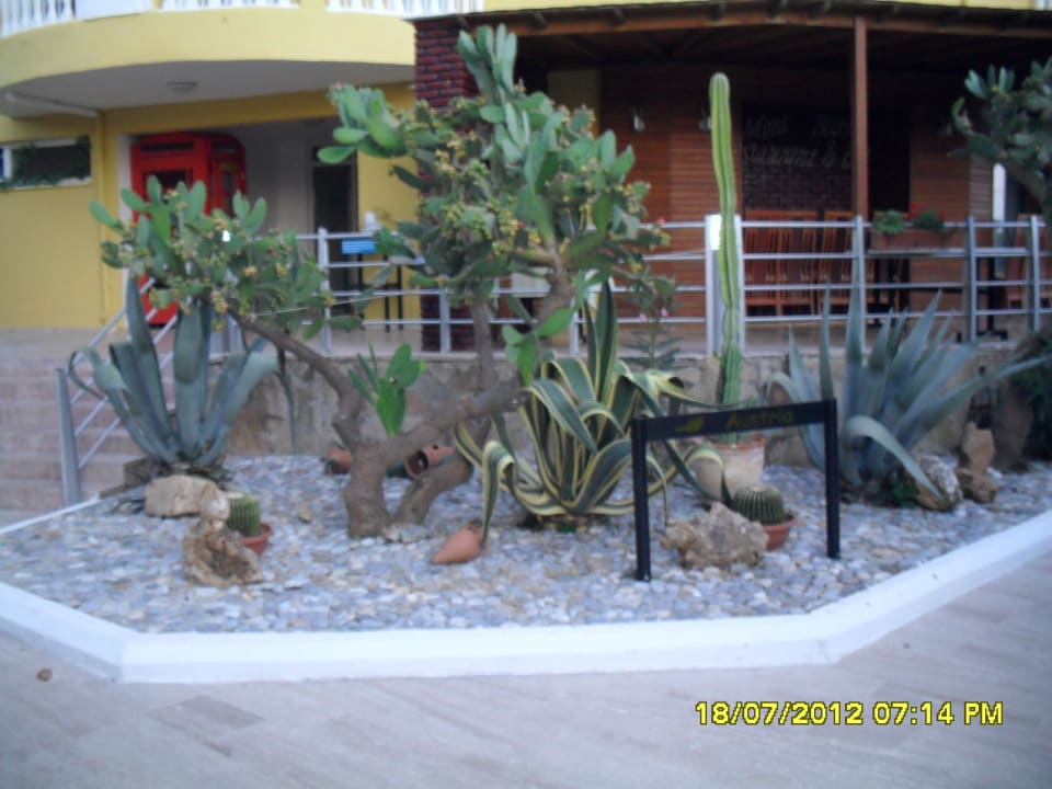 Hotel Club Paradiso Hotel Club Paradiso