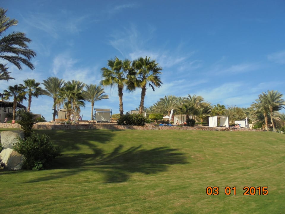 Super grün Steigenberger Coraya Beach - Adults only