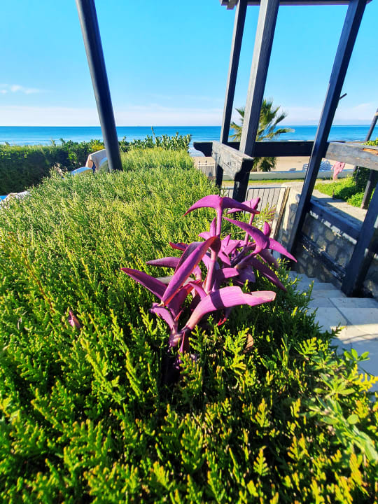 Gartenanlage Melas Resort Hotel