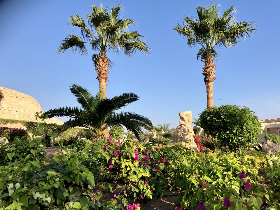 Gartenanlage Pickalbatros Citadel Resort