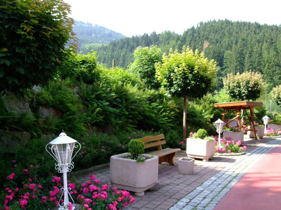 Um das Hotel Elztalhotel