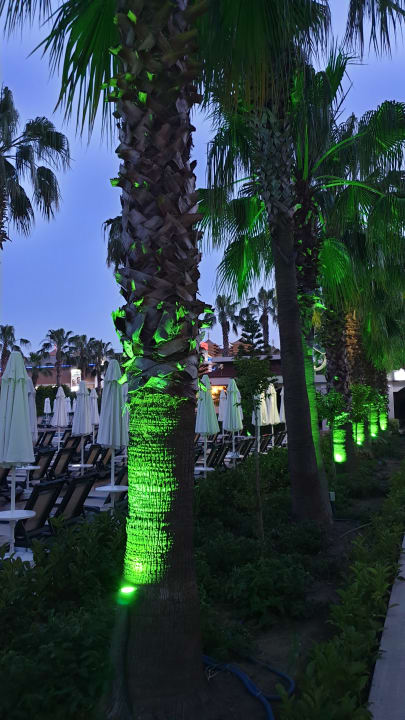 Gartenanlage Hane Family Resort