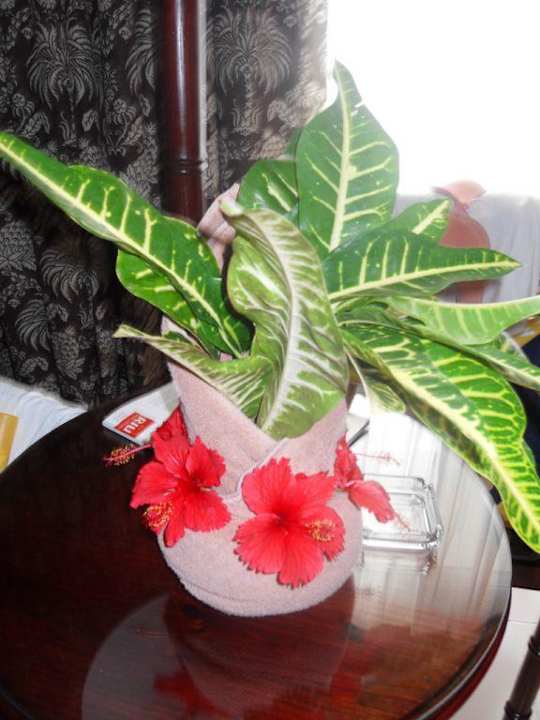 Zimmerdeko Hotel Riu Bambu