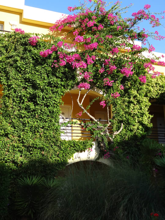 Außenansicht Vantaris Luxury Beach Resort