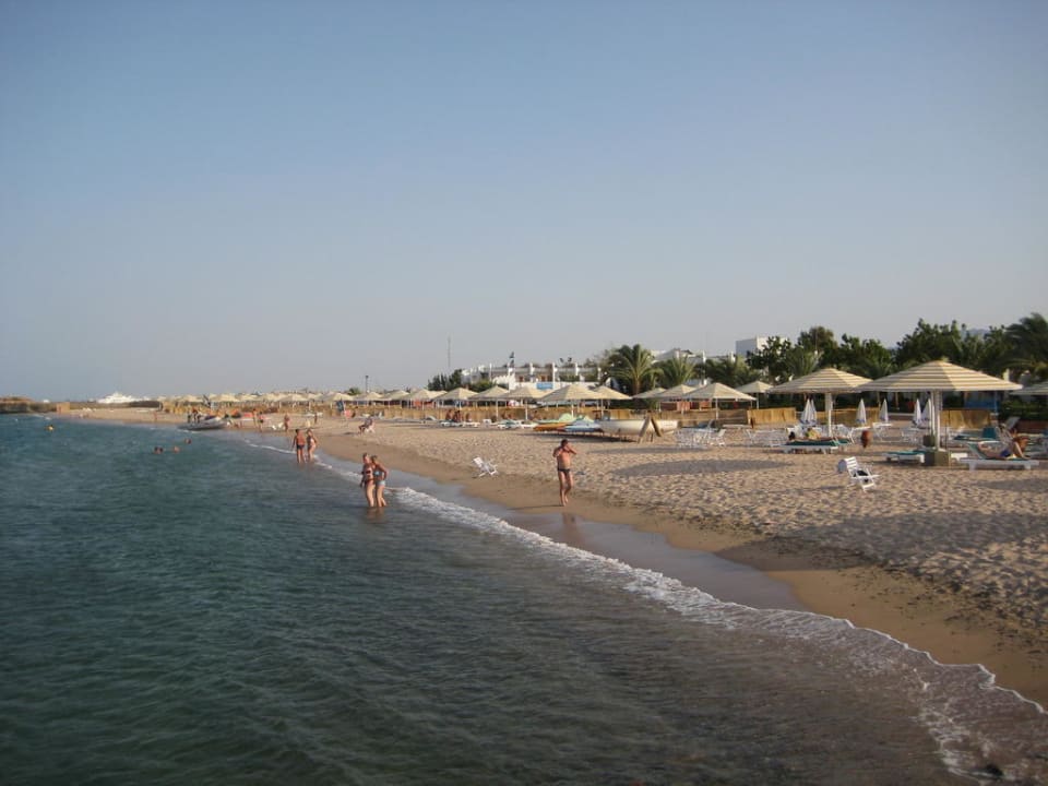 Blick auf Strand mit Gartenanlage Menaville Safaga