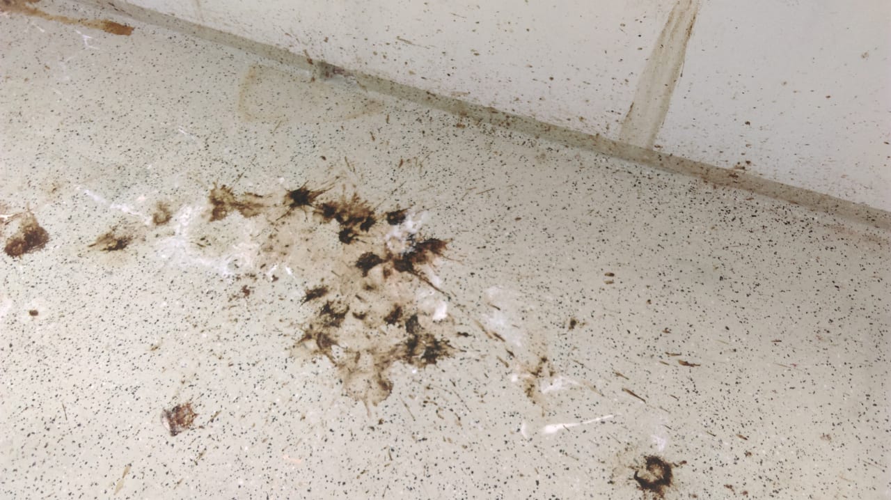 Zimmer Ferienwohnungen Ferienpark Weissenhäuser Strand