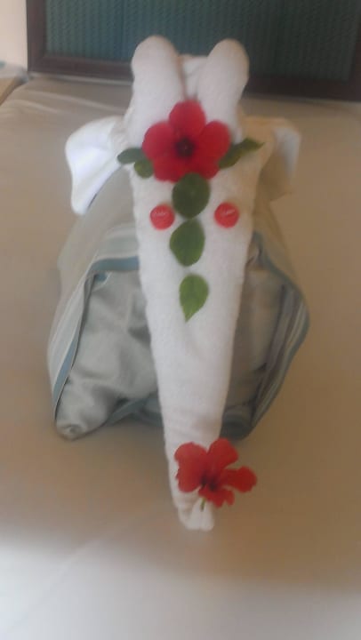 Ohne Worte Pickalbatros Citadel Resort