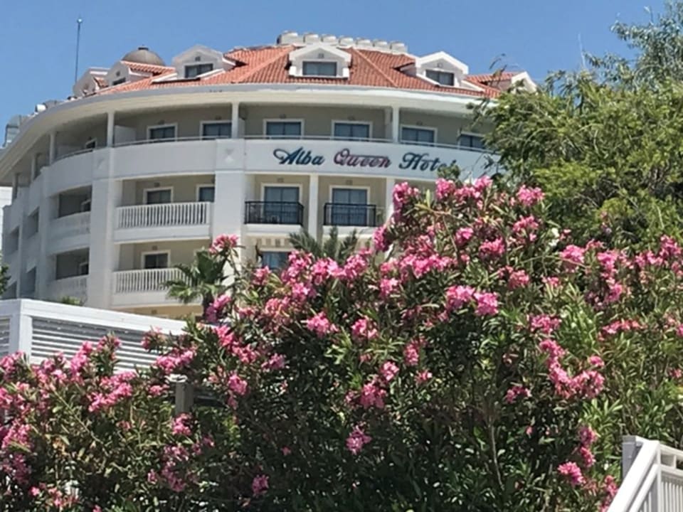 Außenansicht Alba Queen Hotel