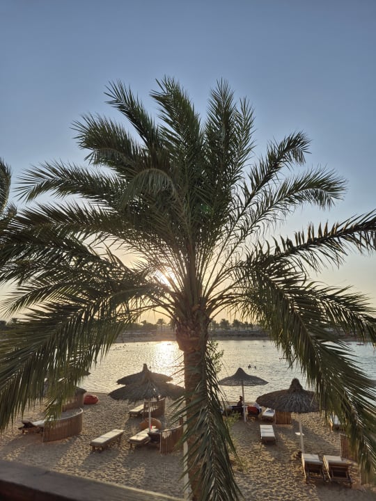 Außenansicht Desert Rose