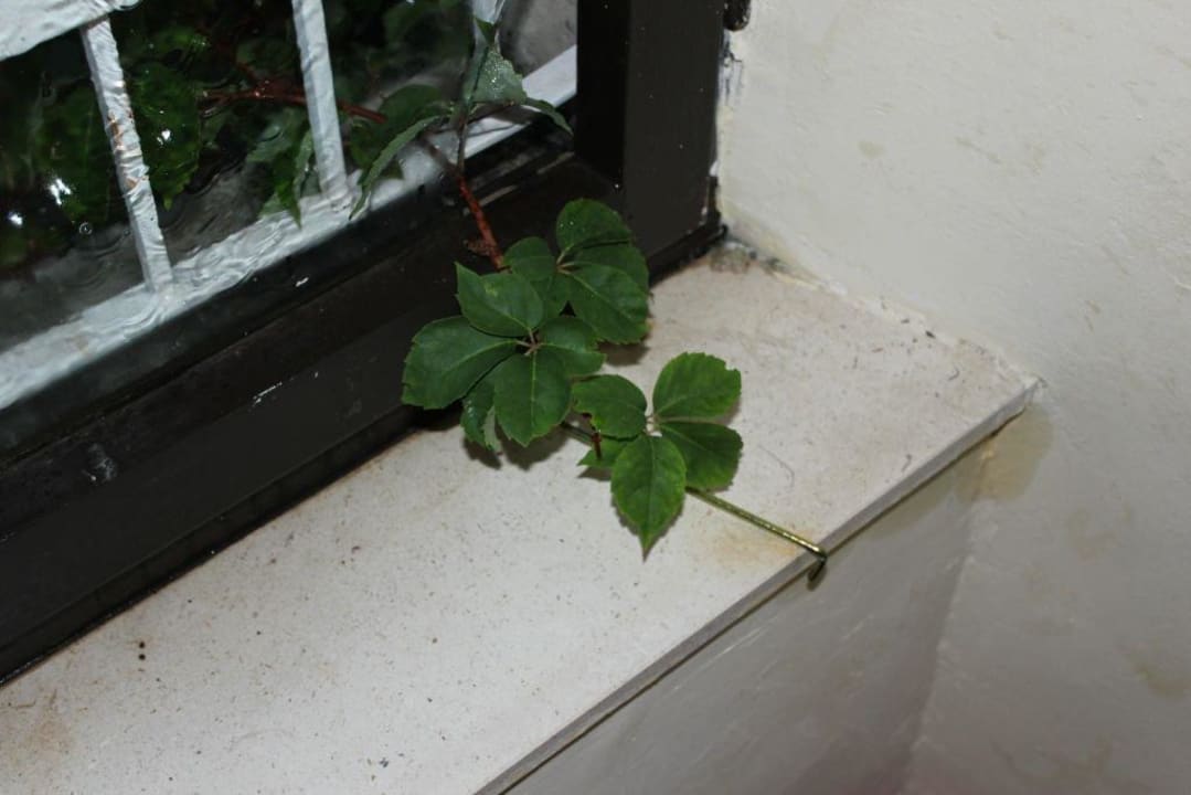 Unfreiwillige Klimanlage Maistra Select Mlini Hotel