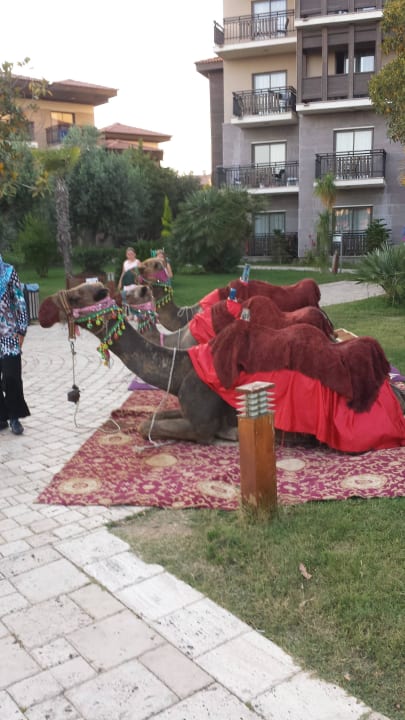 Türkischer Abend Calimera Serra Palace