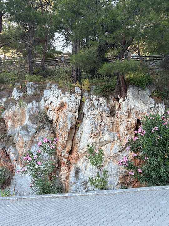 Gartenanlage TUI BLUE Seno - Adults Only