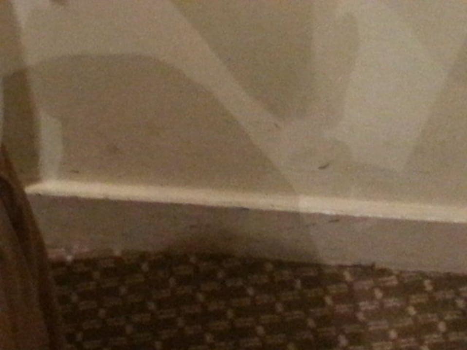 Dirty wall Duke Of Leinster Hotel