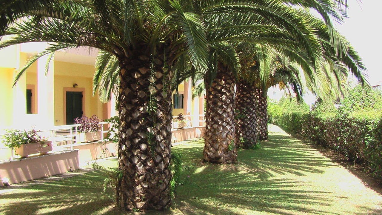 Sauber und gepflegte Anlage Acharavi Beach Hotel
