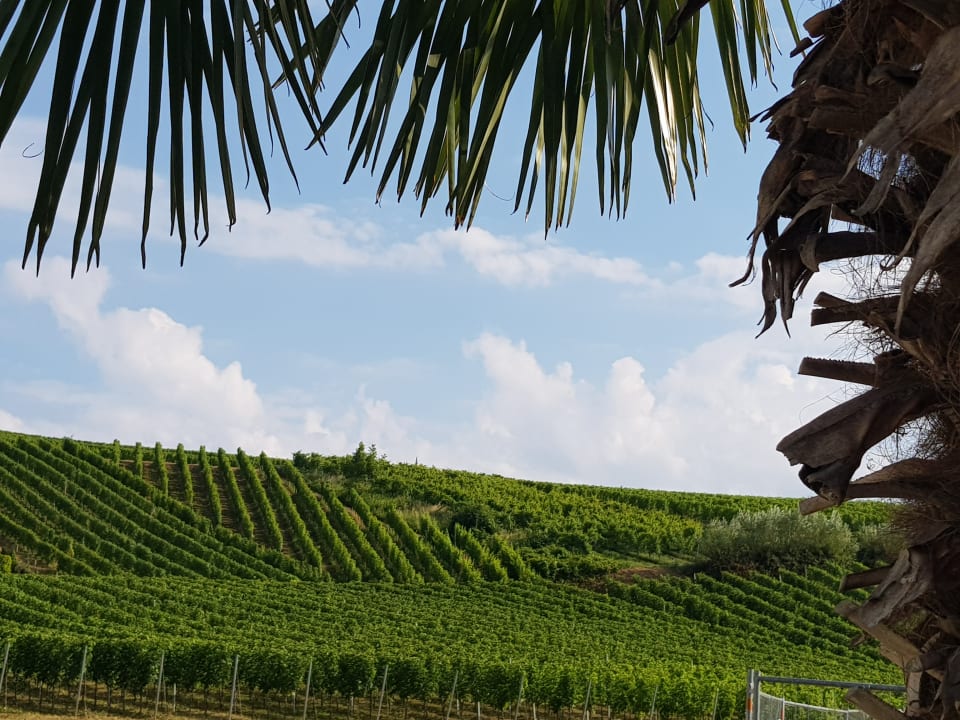 Ausblick Winzerhof Keller