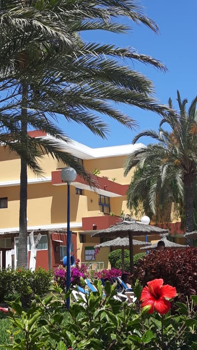 Gartenanlage SBH Fuerteventura Playa