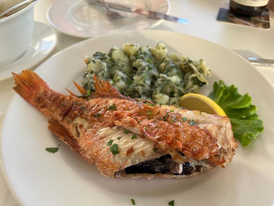 Gastro Hotel & Apartments Vila 4m