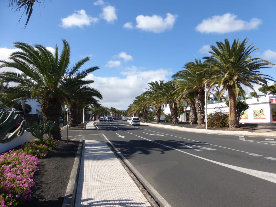 Ausblick allsun App.-Hotel Albatros