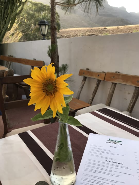 Gastro Bio Finca - Las Tenerías