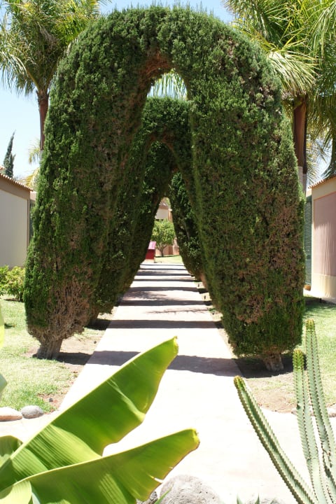 Der Weg vom Pool zum App. allsun Hotel Esplendido