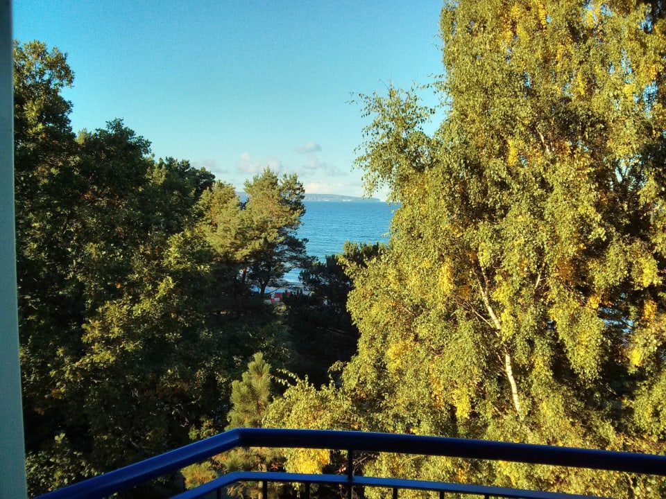 Blick vom Zimmer IFA Rügen Hotel & Ferienpark