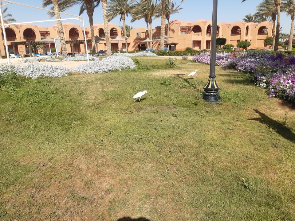 Außenansicht Swisstouch Oriental Resort Marsa Alam