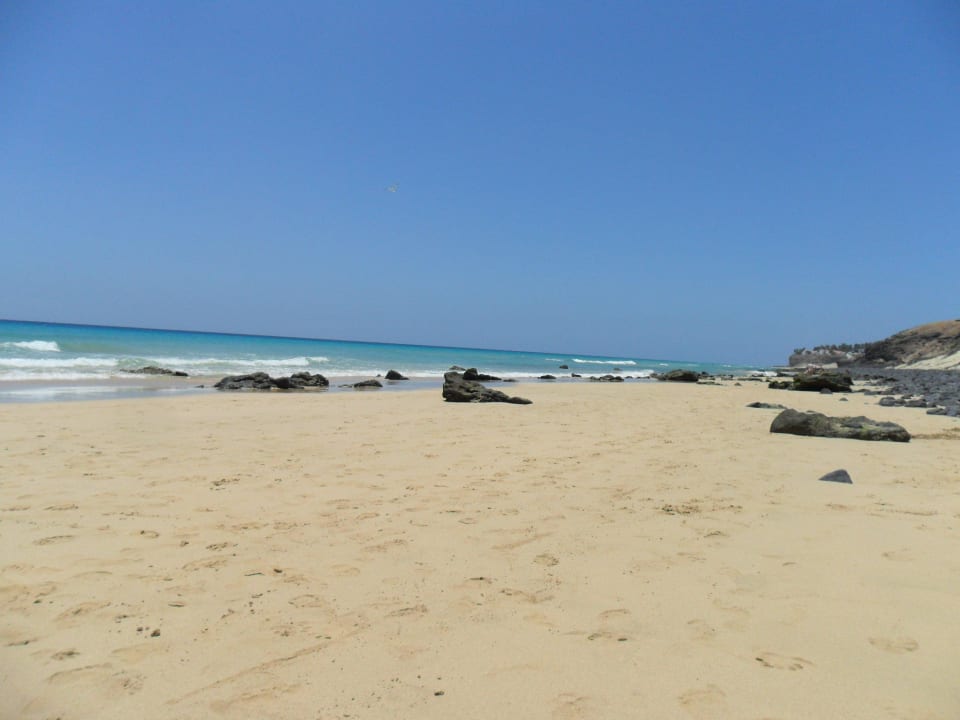 Strand bei Ebbe TUI MAGIC LIFE Fuerteventura