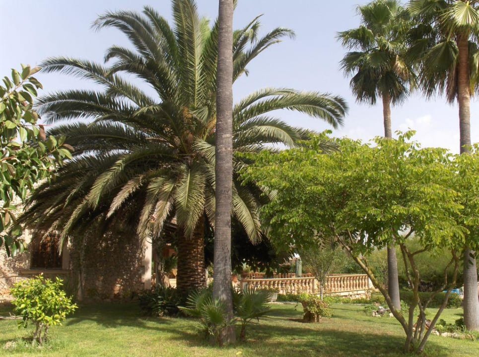 Garten der Finca Hotel Sa d'Aumallia