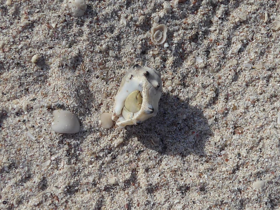 Sonstiges Wyndham Garden Salalah Mirbat