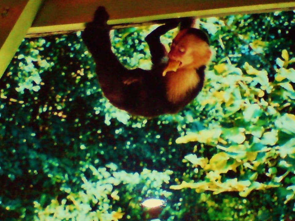 Kleiner Mann der uns sehr nahe war Hotel Bahia del Sol